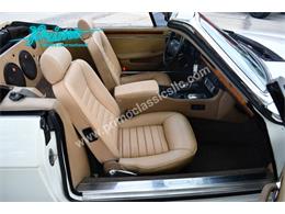 1988 Jaguar XJS (CC-2072075) for sale in Lakeland, Florida