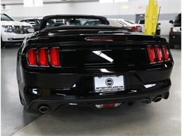2015 Ford Mustang GT (CC-2072104) for sale in Addison, Illinois