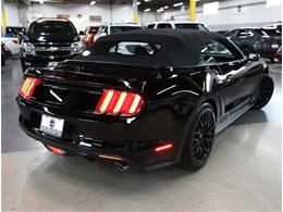 2015 Ford Mustang GT (CC-2072104) for sale in Addison, Illinois