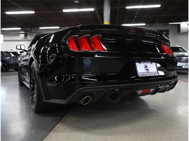 2015 Ford Mustang GT (CC-2072104) for sale in Addison, Illinois