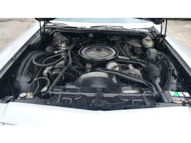 1976 Oldsmobile 88 (CC-2072182) for sale in Colombus, Ohio