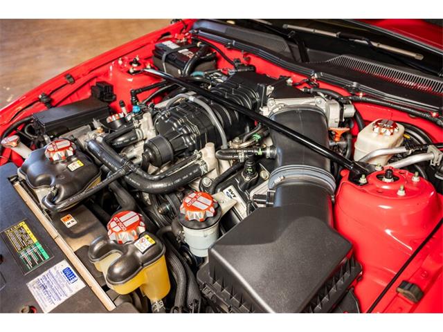2007 Shelby GT500 (CC-2072191) for sale in Spring Valley, California
