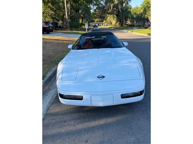 1993 Chevrolet Corvette C4 (CC-2072200) for sale in GAINESVILLE, Florida