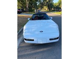 1993 Chevrolet Corvette C4 (CC-2072200) for sale in GAINESVILLE, Florida