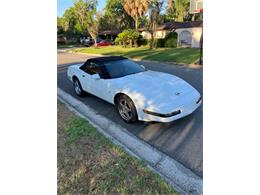 1993 Chevrolet Corvette C4 (CC-2072200) for sale in GAINESVILLE, Florida