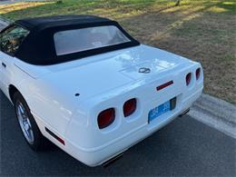 1993 Chevrolet Corvette C4 (CC-2072200) for sale in GAINESVILLE, Florida