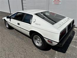 1978 Lotus Esprit (CC-2072244) for sale in OAKLAND, California