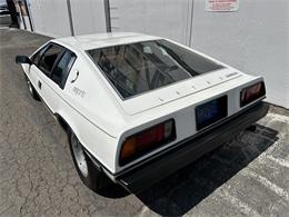 1978 Lotus Esprit (CC-2072244) for sale in OAKLAND, California