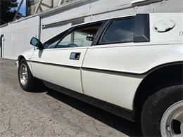 1978 Lotus Esprit (CC-2072244) for sale in OAKLAND, California