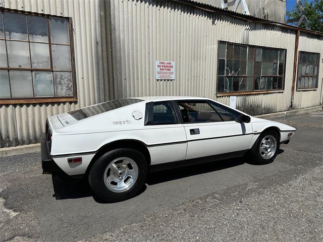 1978 Lotus Esprit (CC-2072244) for sale in OAKLAND, California
