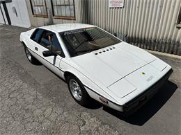 1978 Lotus Esprit (CC-2072244) for sale in OAKLAND, California
