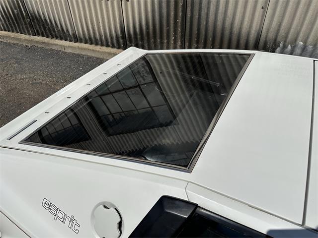1978 Lotus Esprit (CC-2072244) for sale in OAKLAND, California