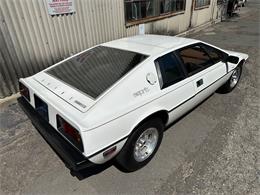 1978 Lotus Esprit (CC-2072244) for sale in OAKLAND, California