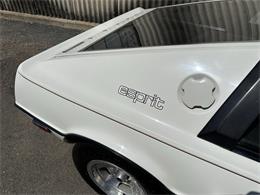 1978 Lotus Esprit (CC-2072244) for sale in OAKLAND, California
