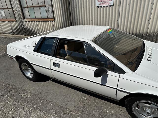 1978 Lotus Esprit (CC-2072244) for sale in OAKLAND, California