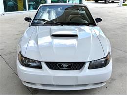 2001 Ford Mustang (CC-2072287) for sale in Bradenton, Florida