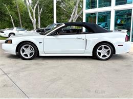 2001 Ford Mustang (CC-2072287) for sale in Bradenton, Florida