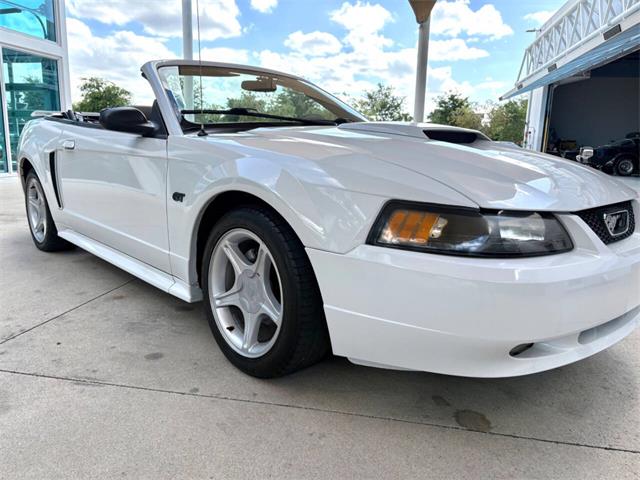 2001 Ford Mustang (CC-2072287) for sale in Bradenton, Florida