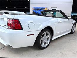 2001 Ford Mustang (CC-2072287) for sale in Bradenton, Florida