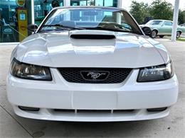 2001 Ford Mustang (CC-2072287) for sale in Bradenton, Florida