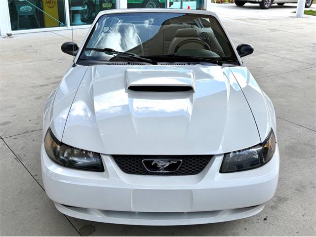 2001 Ford Mustang (CC-2072287) for sale in Bradenton, Florida