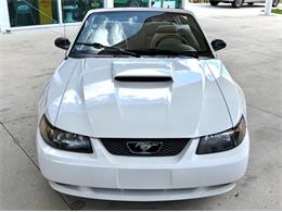 2001 Ford Mustang (CC-2072287) for sale in Bradenton, Florida