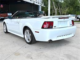 2001 Ford Mustang (CC-2072287) for sale in Bradenton, Florida