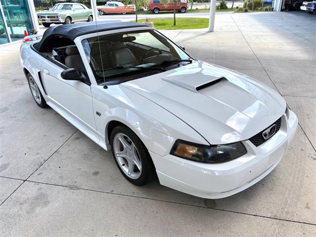 2001 Ford Mustang (CC-2072287) for sale in Bradenton, Florida