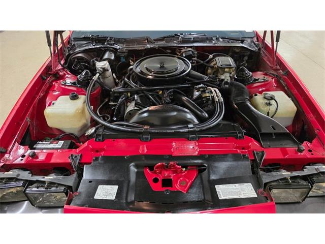 1984 Chevrolet Camaro (CC-2072290) for sale in Mankato, Minnesota
