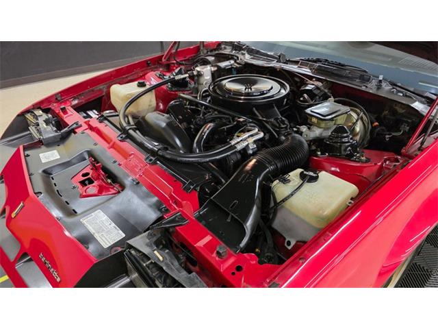 1984 Chevrolet Camaro (CC-2072290) for sale in Mankato, Minnesota