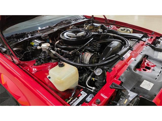 1984 Chevrolet Camaro (CC-2072290) for sale in Mankato, Minnesota