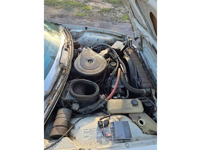 1976 AMC Pacer (CC-2072306) for sale in Cadillac, Michigan