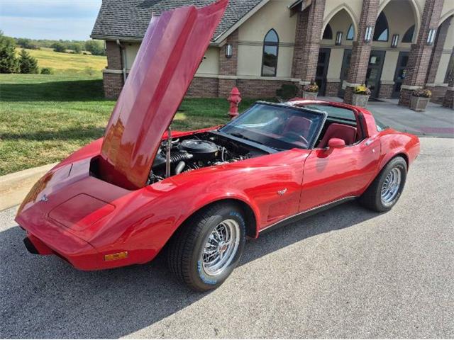 1979 Chevrolet Corvette (CC-2072315) for sale in Cadillac, Michigan