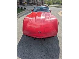 1979 Chevrolet Corvette (CC-2072315) for sale in Cadillac, Michigan