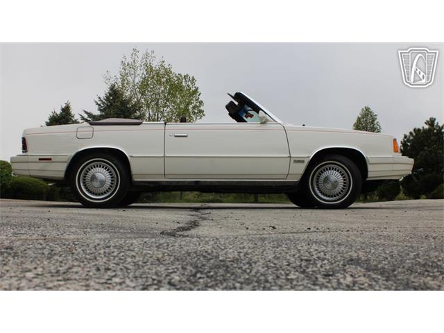 1986 Dodge 600 Series (CC-2072324) for sale in Crete, Illinois