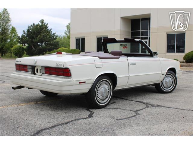1986 Dodge 600 Series (CC-2072324) for sale in Crete, Illinois