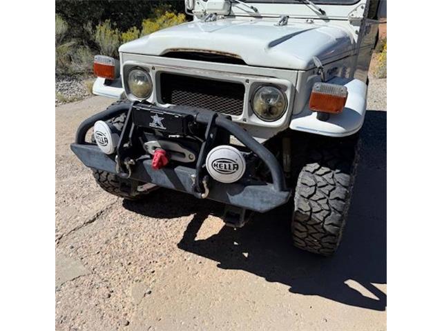 1981 Toyota Land Cruiser (CC-2072330) for sale in Cadillac, Michigan