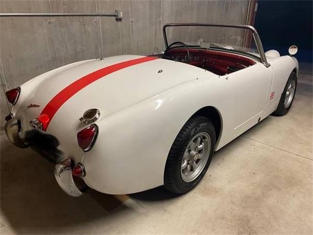1960 Austin-Healey Bugeye Sprite (CC-2072337) for sale in Cadillac, Michigan
