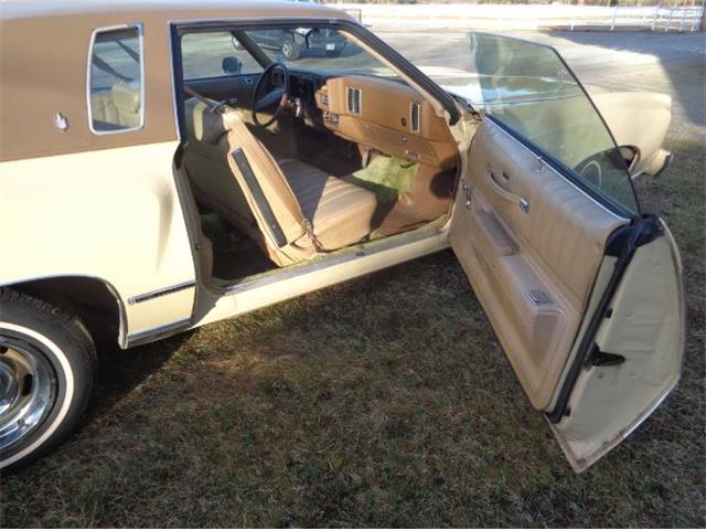 1977 Chevrolet Monte Carlo (CC-2072342) for sale in Cadillac, Michigan