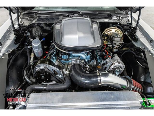 1981 Pontiac Firebird Trans Am (CC-2072378) for sale in Marietta, Georgia