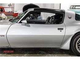 1981 Pontiac Firebird Trans Am (CC-2072378) for sale in Marietta, Georgia