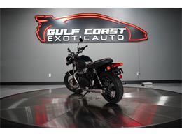 2024 Triumph Bonneville (CC-2072388) for sale in Biloxi, Mississippi