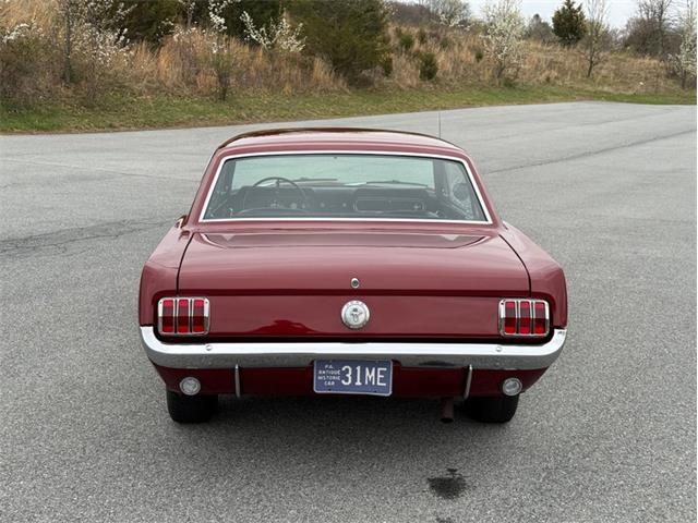 1966 Ford Mustang (CC-2072424) for sale in Orwigsburg, Pennsylvania
