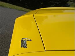 1969 Chevrolet Camaro (CC-2072427) for sale in Orwigsburg, Pennsylvania