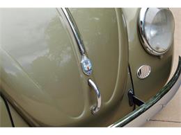 1957 Volkswagen Beetle (CC-2072439) for sale in Greeley, Colorado