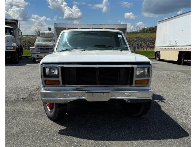 1981 Ford F350 (CC-2072519) for sale in Morgantown, Pennsylvania