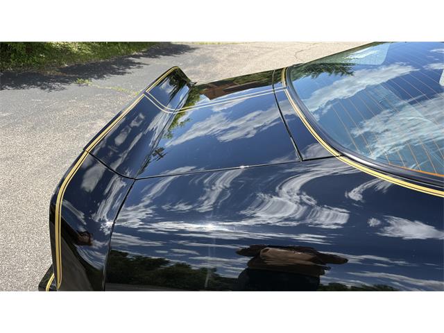 1979 Pontiac Firebird Trans Am SE (CC-2072538) for sale in Milford, Ohio