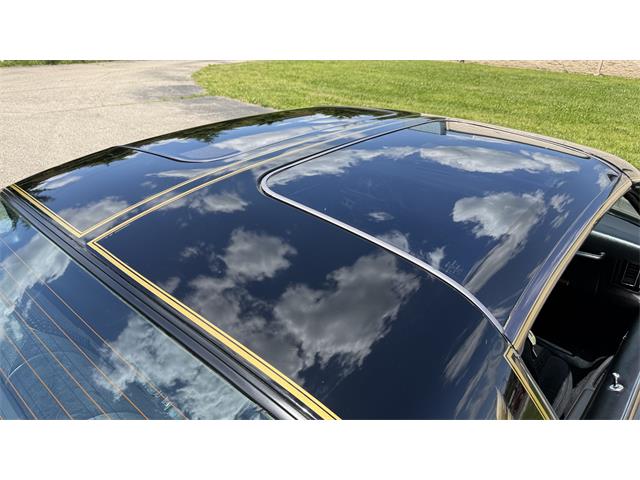 1979 Pontiac Firebird Trans Am SE (CC-2072538) for sale in Milford, Ohio