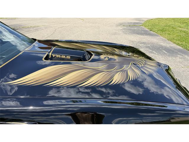 1979 Pontiac Firebird Trans Am SE (CC-2072538) for sale in Milford, Ohio