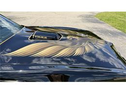 1979 Pontiac Firebird Trans Am SE (CC-2072538) for sale in Milford, Ohio